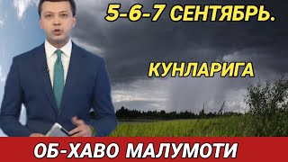 567 СЕНТЯБРЬ КУНЛАРИ УЧУН ОБ ХАВО МАЛУМОТИ ob havo [upl. by Hegarty]