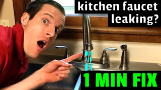 EASY FIX Kitchen Faucet Leaking How to fix a leaky kitchen faucet in 1 minute [upl. by Cruce]