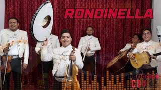 Mariachis En CDMX  RONDINELLA [upl. by Yrrot]