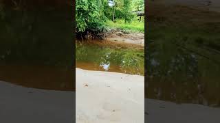 Fishing spot 2 Crabtree Creek Let go fishing outdoors nature [upl. by Oimetra]