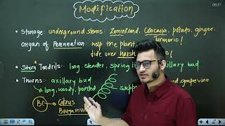 L2 Stem amp its Modifications  Morphology in Flowering Plants  11th Class Biology ft Hyperbiologist [upl. by Rogerg]