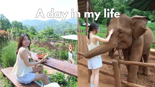 Thailand Travel Vlog  Relax with me at Elephant Cafe 🐘🍌 Jazz night What I Eat in a Day in Chimang [upl. by Gaivn929]