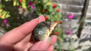 Labradorite Crystals with Colourful Flashes for Sale [upl. by Nimzaj596]