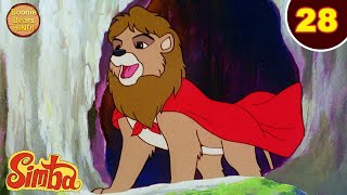 Simba The King Lion Episode 28  सिंबा बना जंगल का राजा  Boonie Bears Hindi  Animated Cartoon 2024 [upl. by Kiele236]