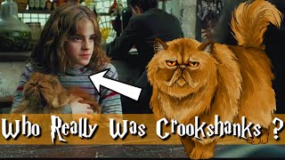 Crookshanks Origins Explained Who Is He Really [upl. by Mahda]