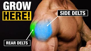 Shoulder Exercise  Get Big Shoulders SIDE AND REAR DELTS [upl. by Atelokin63]