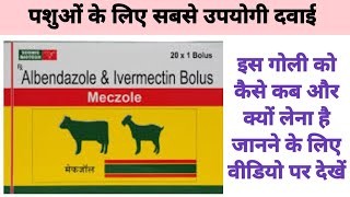 albendazole amp ivermectin bolus tablets for animals  pashuo ke pet ke kide marne ki davai animals [upl. by Gregorio260]