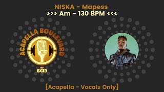 NISKA  Mapess  Acapella  Vocals Only  130 BPM  Am  by EC13 [upl. by Eltsyrhc896]