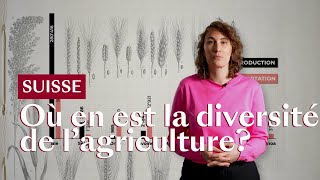 Suisse Où en est la diversité de l’agriculture [upl. by Aicemaj]