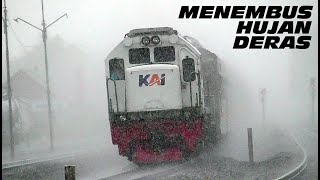 MELIHAT AKSI KERETA API MENEMBUS HUJAN DERAS di stasiun Rewulu pada siang hari [upl. by Uhthna822]