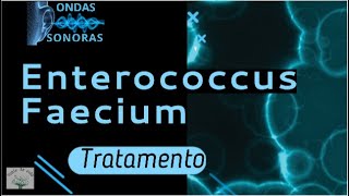 ENTEROCOCCUS FAECIUM Frequência Medicina Quântica Fonte de vida [upl. by Odnam622]