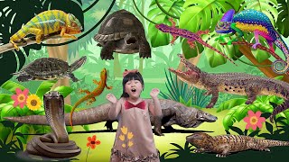 All About Reptiles Names and Fun Facts  Best Learning Videos Animals Reptiles for Kids [upl. by Drawe]