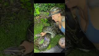 Tay Catches a Huge Python [upl. by Camilia]