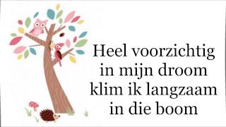 De Droomboom instrumentaal met lyrics [upl. by Other]