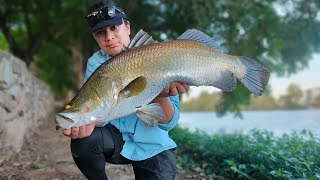 CRAZY ROSS RIVER BARRA TOWNSVILLE LAND BASED FISHING 2022 [upl. by Vadnee709]