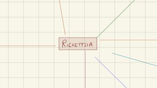 Rickettsia  Bloodstream infections  2nd year MBBS  Microbiology [upl. by Oira63]