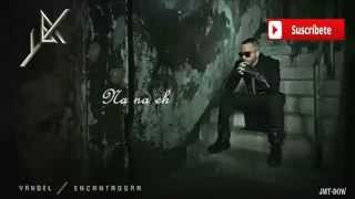 Yandel  Encantadora Video Lyric Reggaeton 2015 [upl. by Ybbed]