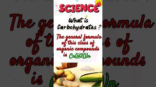 Carbohydrates biochemistry  what is Carbohydrates  carbohydrates nutrition [upl. by Correna]