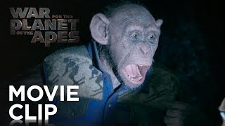 Chimpanzee  Oscars Chimp Diaries Part 2  HD [upl. by Pardoes]