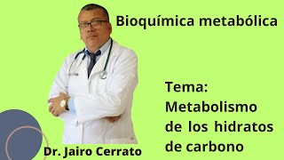 Metabolismo de los hidratos de carbono [upl. by Gnuh]