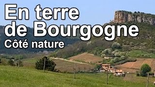 En terre de Bourgogne  Côté Nature [upl. by Lindsay298]