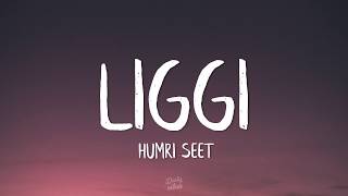 Ritviz  Liggi Lyrics  Humri seet [upl. by Leelaj311]