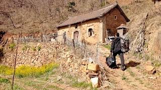 Leaving City Man Renovates and Cleans up old House in the Countryside  Free Life with my Dog [upl. by Anaidni]