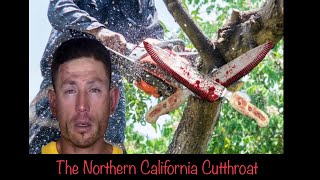 Serial Killer Ryan Scott Blinston truecrime [upl. by Yekcin]