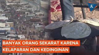 Kelaparan di Gaza Meningkat PBB Bisa Picu Warga Eksodus ke Mesir [upl. by Hudson]