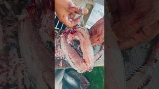 DEBONING MILK FISH AT MELES FISH MARKET  Boneless Bangus shorts [upl. by Roberts151]