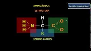 Aminoácidos [upl. by Tate]