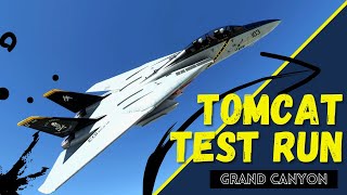 Tomcat test run  MSFS [upl. by Brittani415]