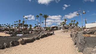 Flamingo beach Playa Blanca Lanzarote [upl. by Nileuqaj769]