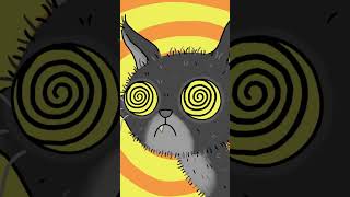 HYPNOCAT HAS SPOKEN😵‍💫🐈🧎 [upl. by Dong]