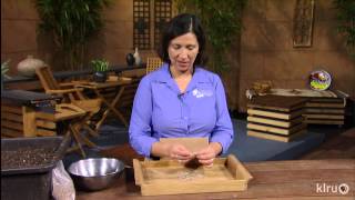 Planting bluebonnet seedsAndrea DeLongAmayaCentral Texas Gardener [upl. by Yelime]