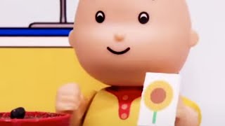 Caillou et le Tournesol  Caillou en Français [upl. by Zelda]