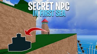 4 SECRET NPC In The First Sea That You Have MISSED  Blox Fruits [upl. by Enaoj]