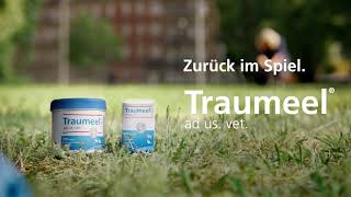 Traumeel® ad us vet [upl. by Aisined103]