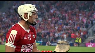 LAST MINUTE  CELEBRATIONS  CORK V LIMERICK  2024 MUNSTER HURLING CHAMPIONSHIP [upl. by Helena]