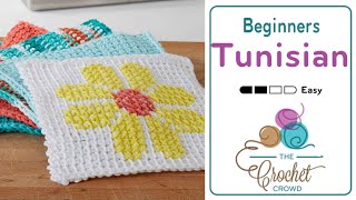 How To Tunisian Crochet Half Double Stitch  BEGINNER [upl. by Kevina283]