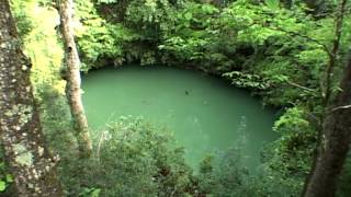 Floridas Aquifer Adventure  Wakulla Springs [upl. by Haidabez]