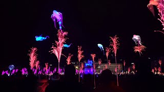 Fête des lumières 2019  rétrospective [upl. by Namajneb779]