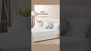 Top 5 Berger paints off white shade bergerpaints livingroomcolors bedroomcolourcombination [upl. by Atoiyanap710]