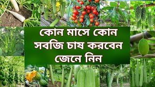 কোন মাসে কোন সবজি চাষ করবেন জেনে নিন l sobji chas l সবজি চাষ [upl. by Rosdniw]