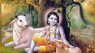 Jhula Jhule Kanhaiya Sang Ladli Kishori  Krishna Chaturvedi Pankaj VRK  Radhe Krishna Song 2024 [upl. by Eiramannod]