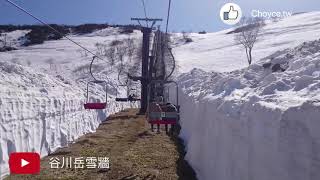 搭纜車欣賞雪牆壯麗景色 最適合滑雪與登山健行 谷川岳天神平滑雪場 [upl. by Hendrix]