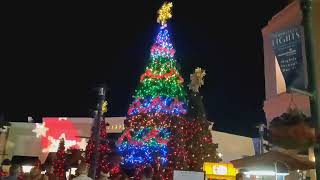 Symphony in Lights Tree Show The Shops at Wiregrass Wesley Chapel FL Christmas 2021 [upl. by Stearns748]