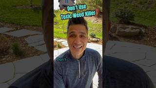 Dont Use Toxic Weed Killer Try Vinegar [upl. by Jaclin]