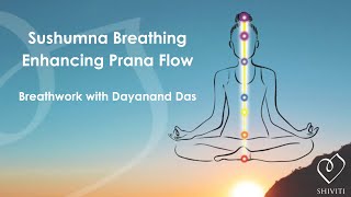 Sushumna Breathing  Enhancing Prana Flow [upl. by Kreiker]