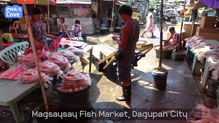 필리핀 수산시장 ｜Magsaysay Fish Market Dagupan [upl. by Ahsinet365]